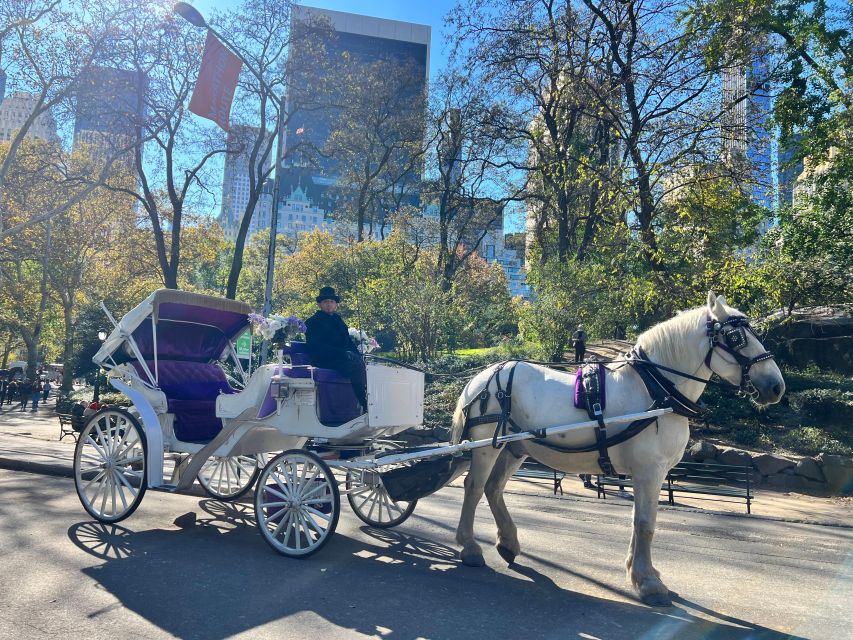 Royal Carriage Ride in Central Park NYC - Bethesda Fountain and the park’s grand center