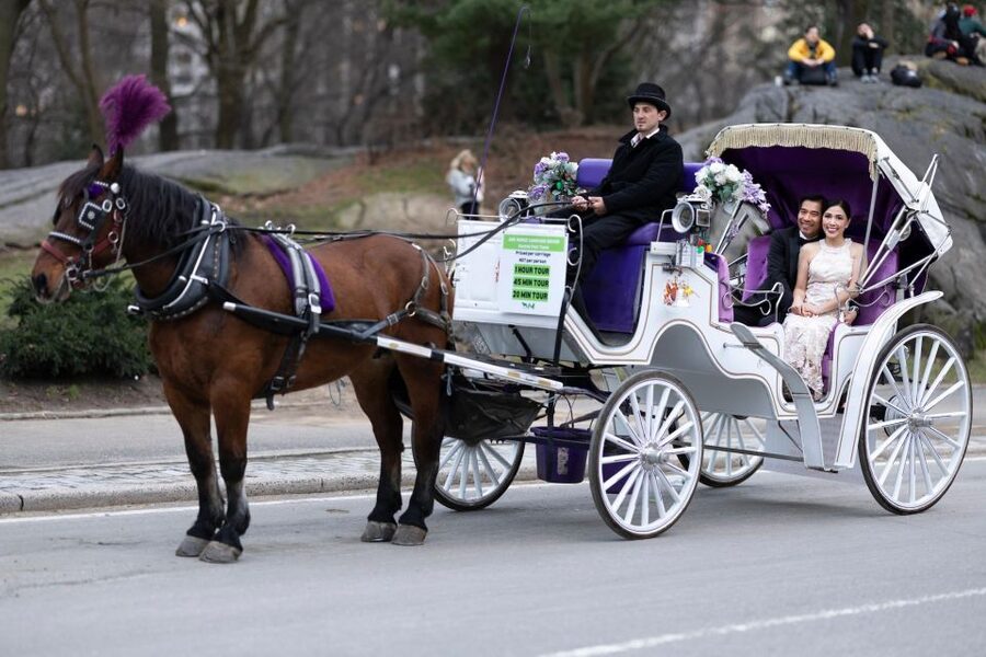 Royal Carriage Ride in Central Park NYC - Cherry Hill Plaza and the Friends Fountain
