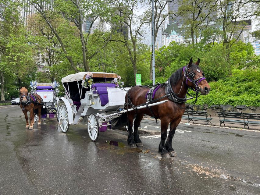 Royal Carriage Ride in Central Park NYC - Strawberry Fields and a more reflective stop