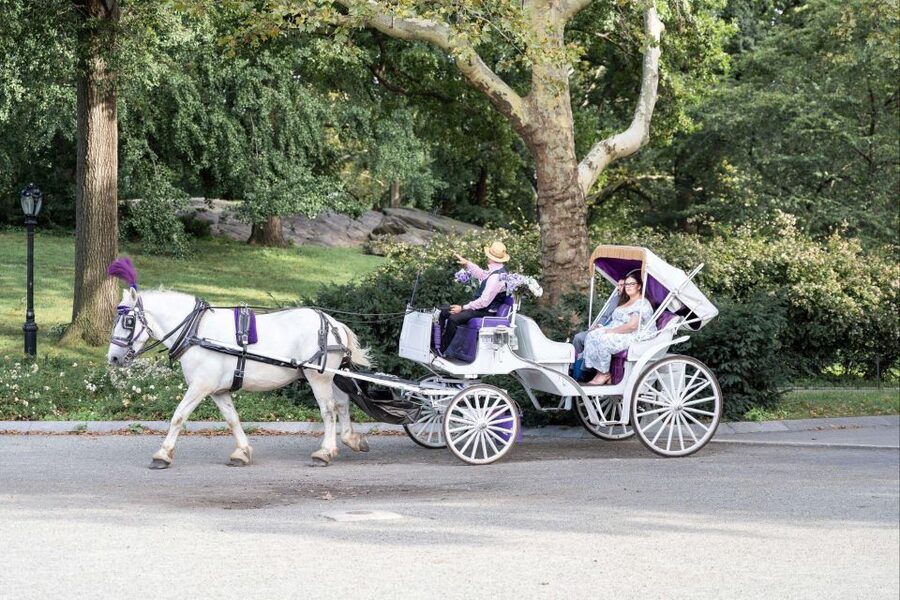 Royal Carriage Ride in Central Park NYC - What the private format is really worth
