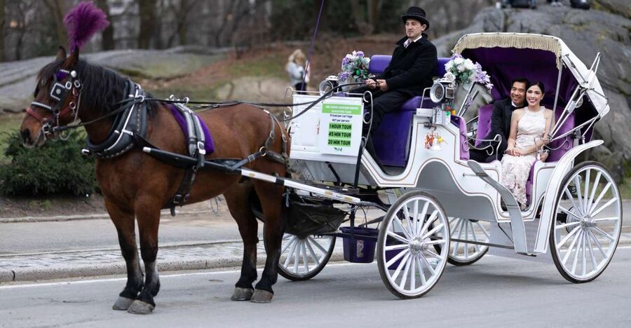 Royal Carriage Ride in Central Park NYC - How long the ride lasts