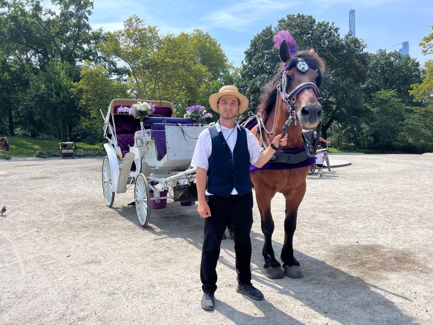 Royal Carriage Ride in Central Park NYC - Horse care and the feel of the service