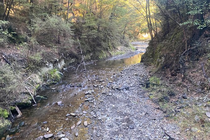Rubicon Valley Horse Treks - 2 Hour River Trail Horse Trek - Why the six-to-one ratio matters