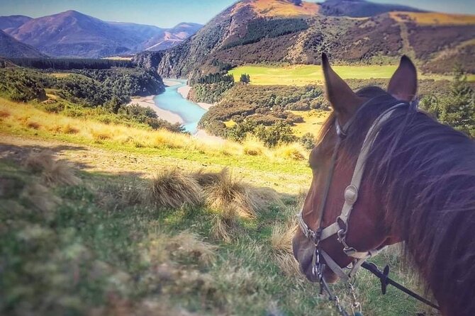 Rubicon Valley Horse Treks - 2 Hour River Trail Horse Trek - The value of $91.47 for two hours
