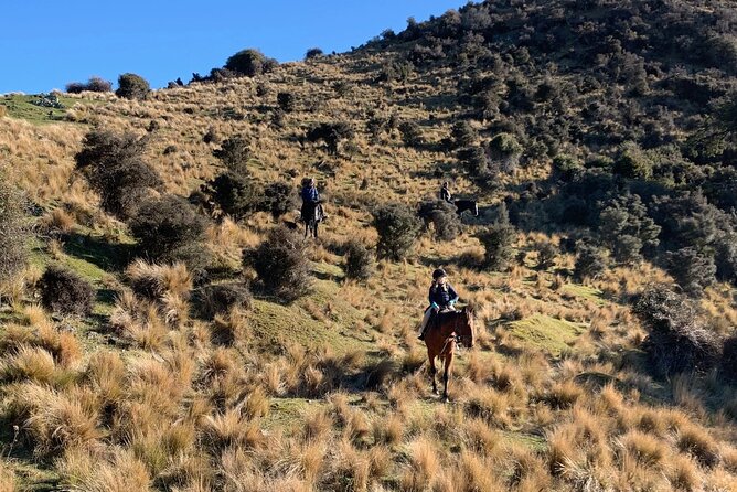 Rubicon Valley Horse Treks - 2 Hour River Trail Horse Trek - Following the farm trail to Otarama lookout