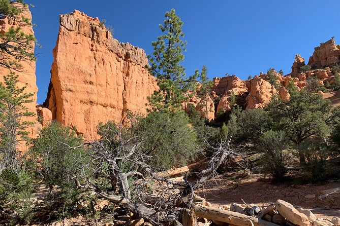 Ruby's Horseback Adventures Utah Half Day Ride - Key points at a glance