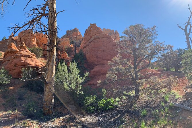 Ruby's Horseback Adventures Utah Half Day Ride - Riding through Losee Canyon’s red rock