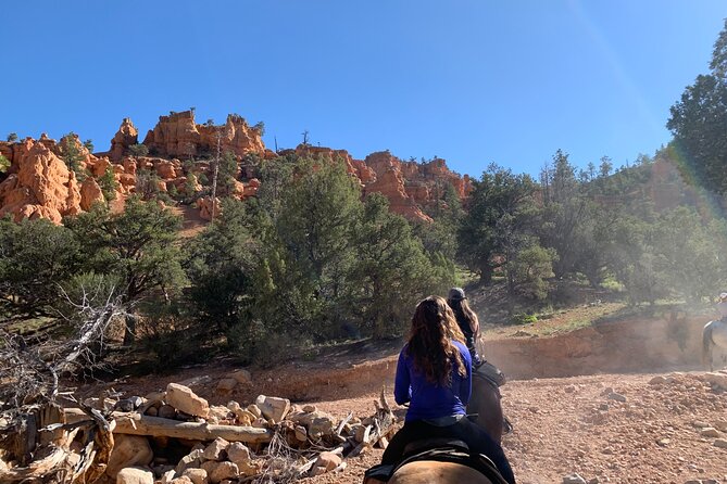 Ruby's Horseback Adventures Utah Half Day Ride - Picking the best start time