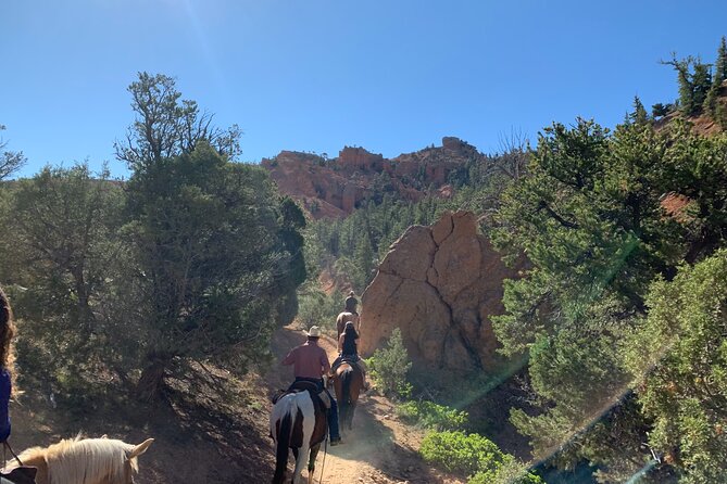 Ruby's Horseback Adventures Utah Half Day Ride - Calm horses and a range of riding abilities