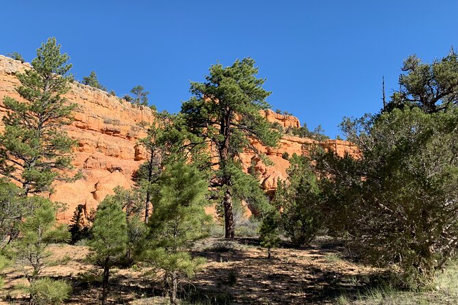 Ruby's Horseback Adventures Utah Half Day Ride - Is $130 a fair price?