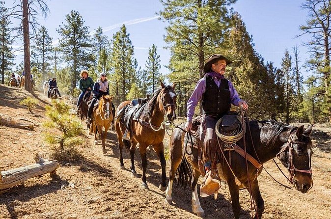 Ruby's Horseback Adventures Utah Thunder Mt. 4 Hour Ride - How difficult is the ride?