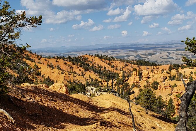 Ruby's Horseback Adventures Utah Thunder Mt. 4 Hour Ride - What to wear and carry