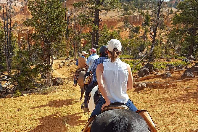 Ruby's Horseback Adventures Utah Thunder Mt. 4 Hour Ride - Price and what you receive for $150