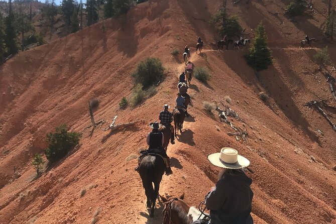 Ruby's Horseback Adventures Utah Thunder Mt. 4 Hour Ride - The horses and the guides