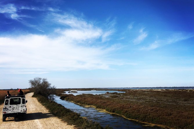 Safari 4x4 Camargue 2 hours - Saintes Maries de la Mer - Private Tour - Why a private 4x4 makes sense