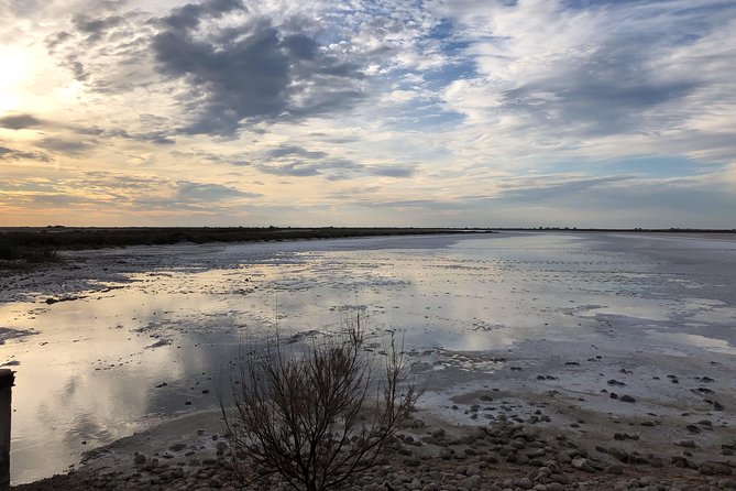 Safari 4x4 Camargue 2 hours - Saintes Maries de la Mer - Private Tour - Is $479.41 good value?