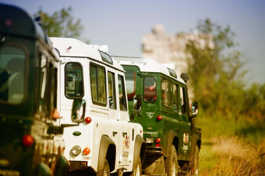 Safari 4x4 in Camargue / VIP Tour 3h30 / Grau du Roi - Key points to know before booking