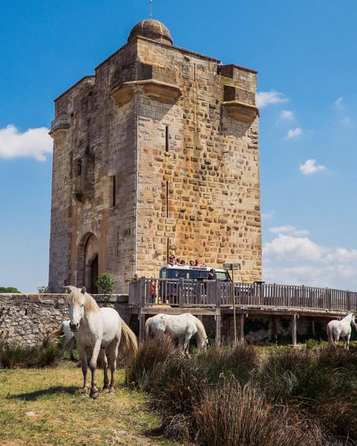 Safari 4x4 in Camargue / VIP Tour 3h30 / Grau du Roi - The Aigues-Mortes question