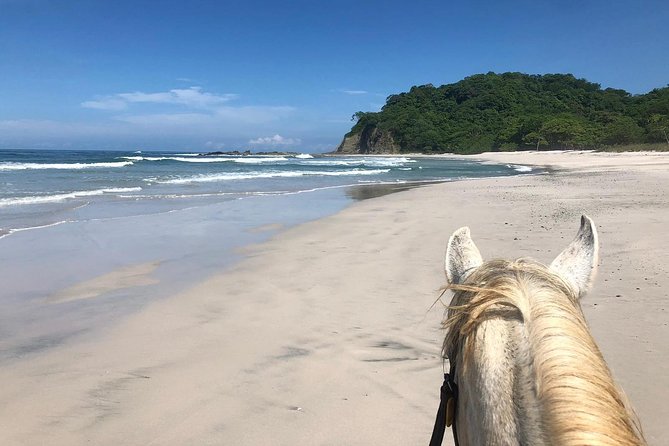 Safari & Barigona Beach on horseback - Key points at a glance