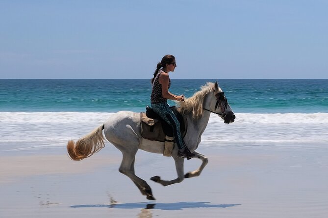 Safari & Barigona Beach on horseback - The ride from Horsejungle into Guanacaste