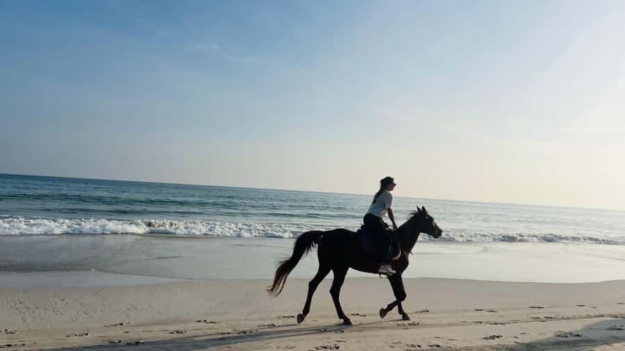 Salalah: Horse Riding by the Beach - Why the sunset setting matters