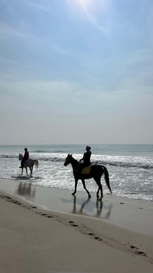 Salalah: Horse Riding by the Beach - Who should book this beach ride?