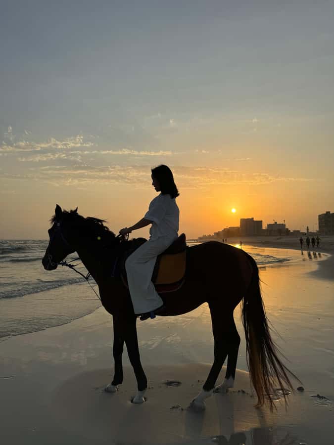 Salalah: Horse Riding by the Beach - What happens from hotel pickup to the beach