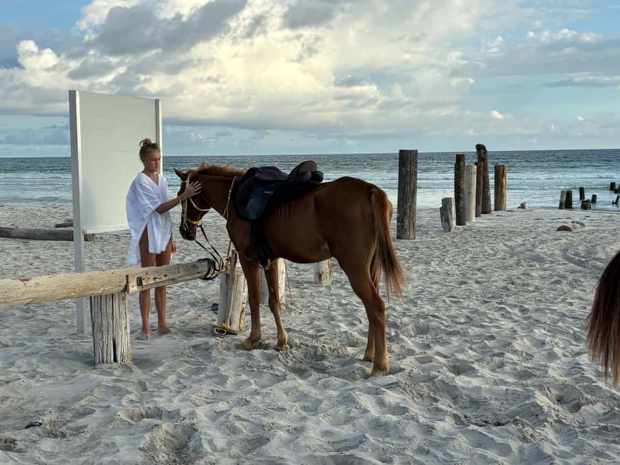 Salalah Horse Riding on the Beach optional Hotel Pick & Drop - Getting settled on the horse