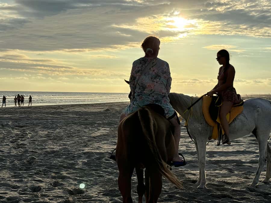 Salalah Horse Riding on the Beach optional Hotel Pick & Drop - What the guide support adds