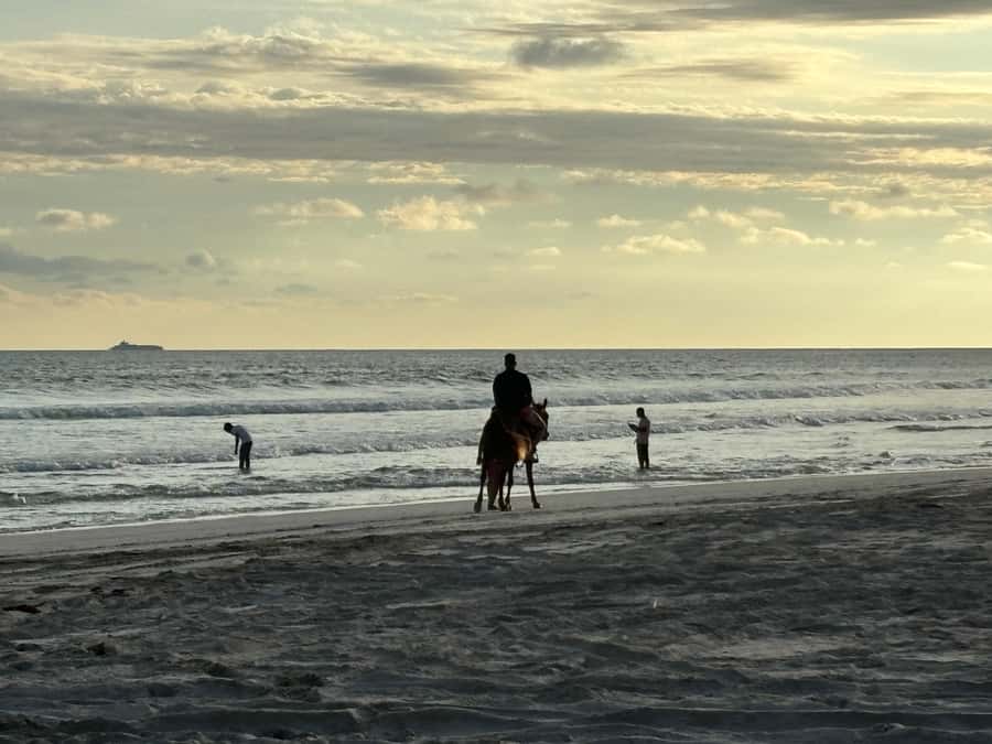 Salalah Horse Riding on the Beach optional Hotel Pick & Drop - Is $36 a fair price?