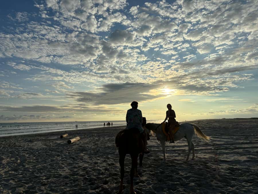 Salalah Horse Riding on the Beach optional Hotel Pick & Drop - Practical tips for a smoother evening