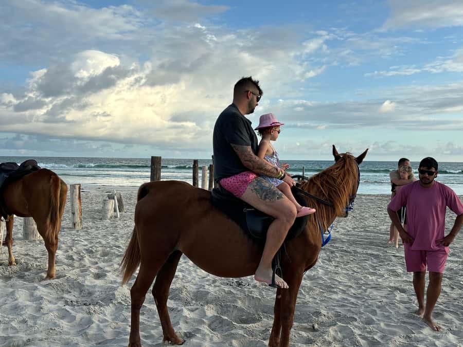 Salalah Horse Riding on the Beach optional Hotel Pick & Drop - Arriving at the beach club meeting point