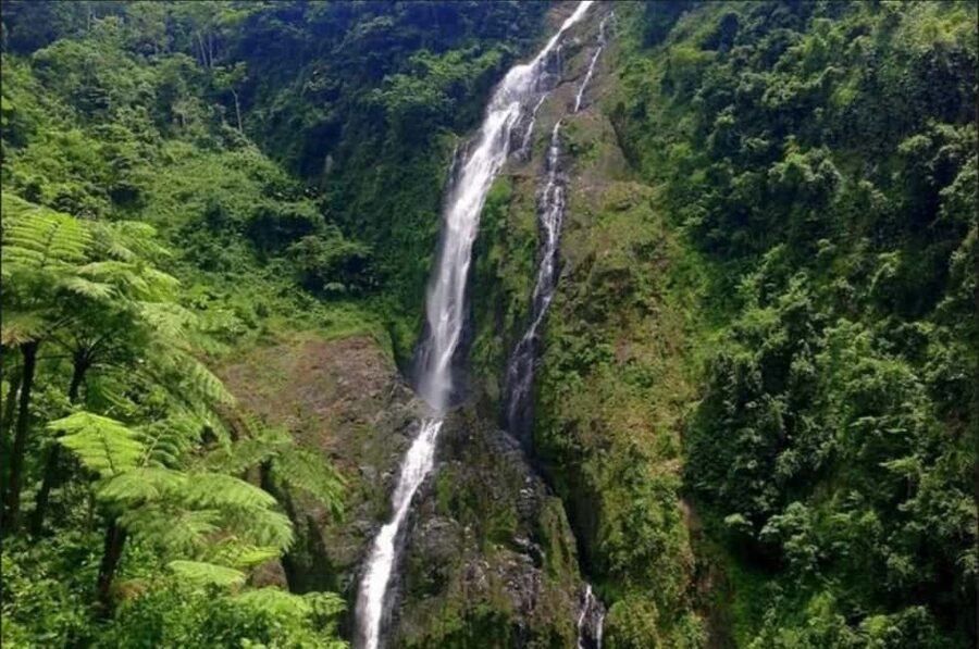 Salto La Jalda: Leaping La Jalda Hiking or Horse Riding Tour - Through cacao, coffee, and coconut forest