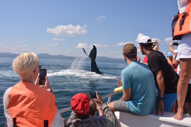 Samana, Bacardi Island Horse Limon Waterfall - Why the whale season makes this trip special
