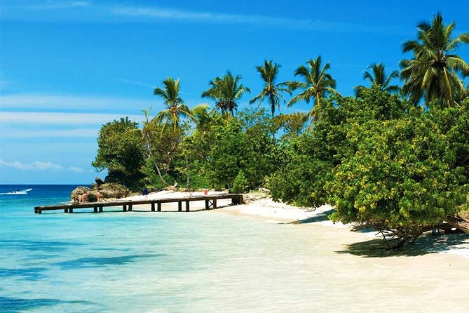 Samana + Cayo Levantado + Horseback Riding from Punta Cana with Lunch - Dominican lunch at the base of the falls