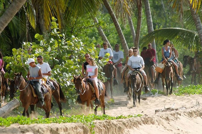 Samana + Cayo Levantado + Horseback Riding from Punta Cana with Lunch - Who will enjoy this day most