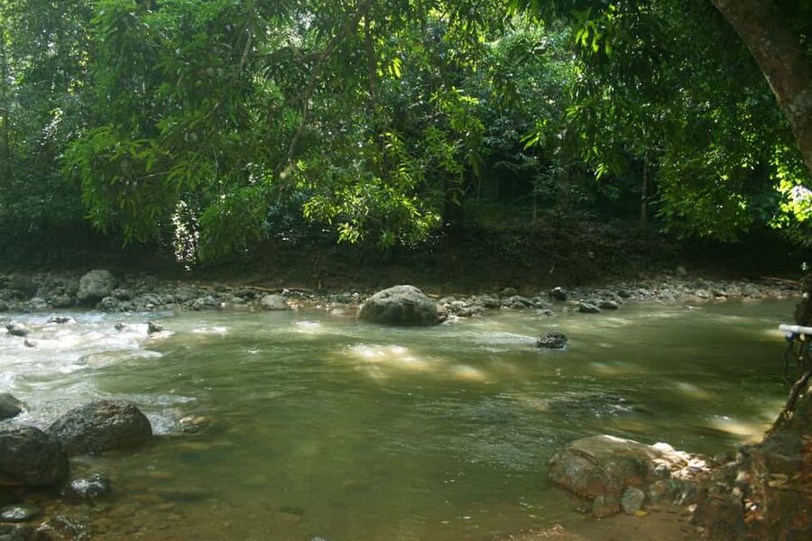 Samaná: El Limón Waterfall Horseback Riding Tour - Lunch, cacao, coffee, and Mamajuana