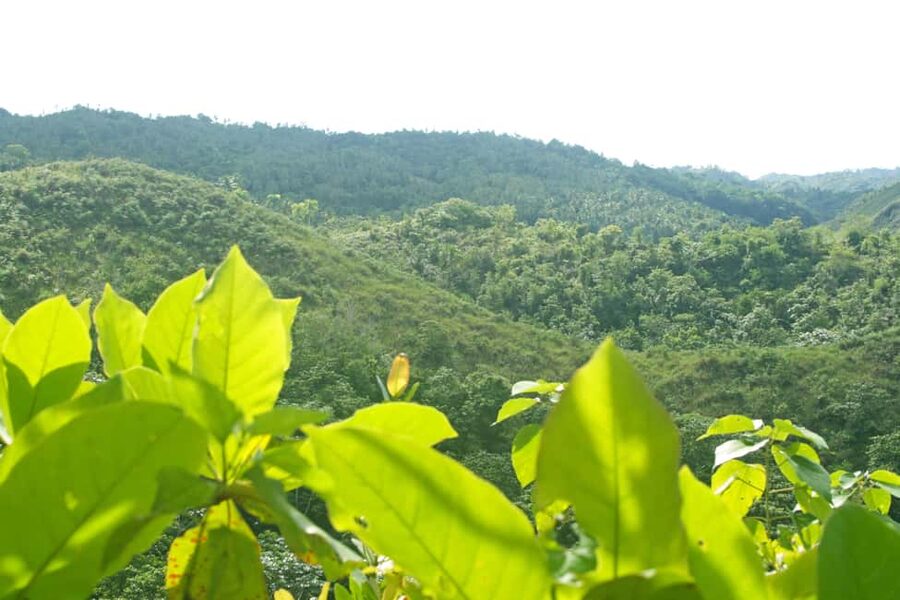 Samaná: El Limón Waterfall Horseback Riding Tour - Is the El Limón horse ride worth booking?