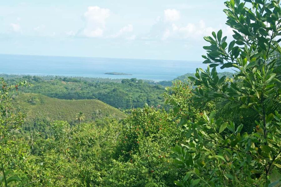 Samaná: El Limón Waterfall Horseback Riding Tour - The steep walk down to the 197-foot falls