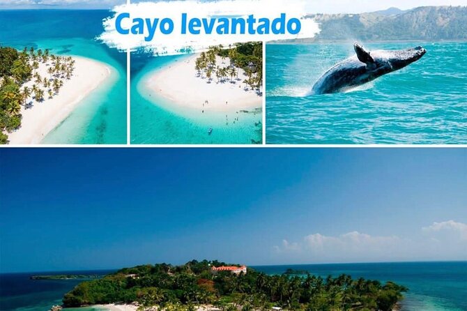 Samana Full Day -baracardi island, horses, lemon waterfall - Key things to know before booking