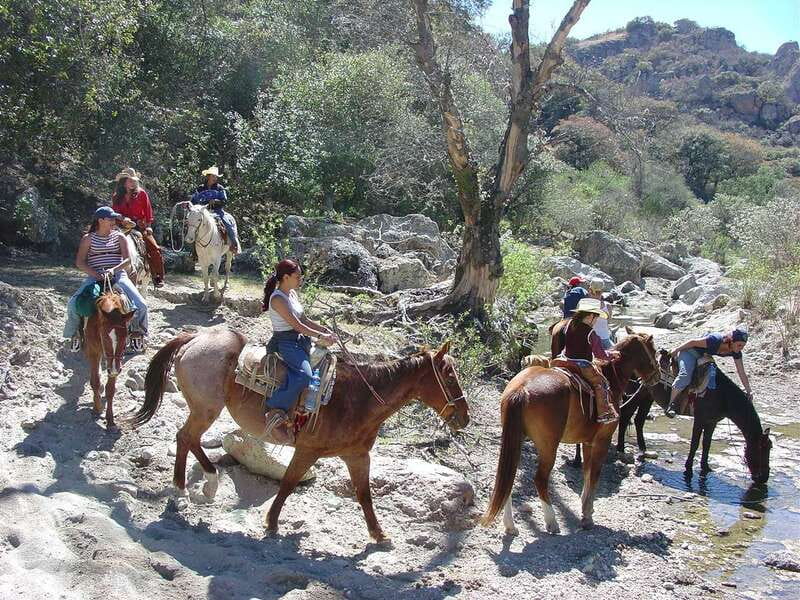 San Miguel Allende: Half-Day Horseback Riding Adventure - The Ranch Meal Is Part of the Experience