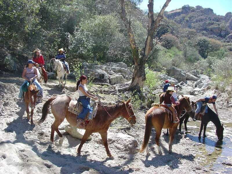 San Miguel Allende: Half-Day Horseback Riding Adventure - Who Should Book This Ride?