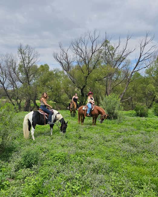 San Miguel de Allende: Horseback Riding Tour - Meeting the horses and learning the basics
