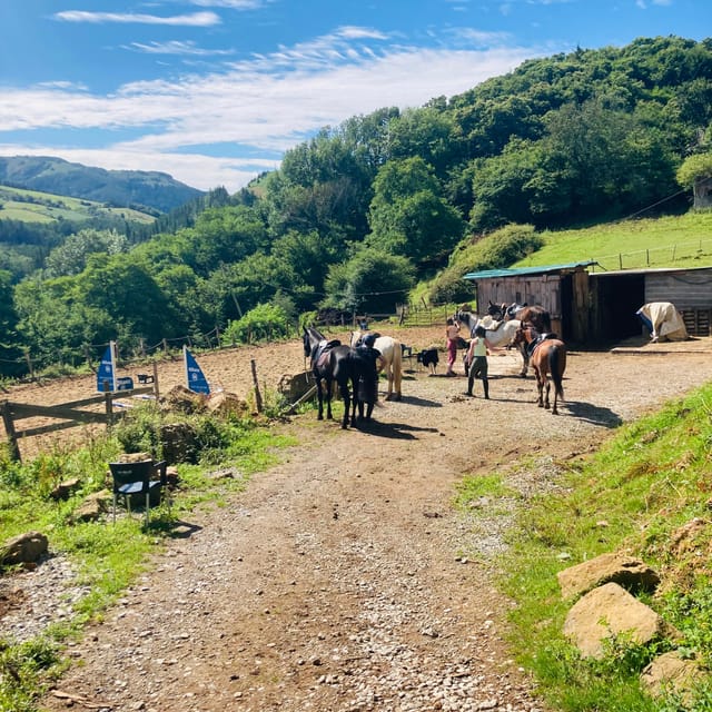 San Sebastian: Horseback Riding & Traditional Delights - Views toward France and Spain