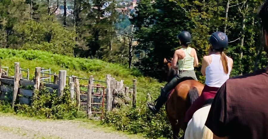 San Sebastian: Horseback Riding & Traditional Delights - Why the horses matter