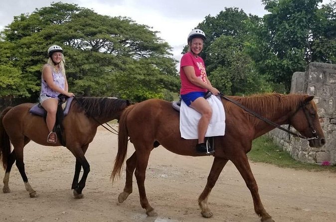 Sand n Saddle Horseback Ride & Swim Tour from Falmouth - The cool drink and hummingbirds