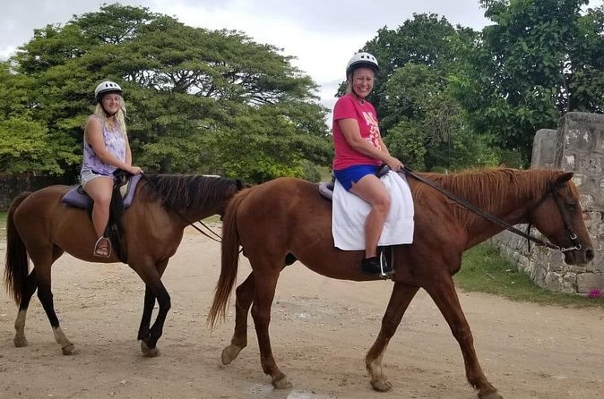 Sand n Saddle Horseback Ride & Swim Tour from Runaway Bay - How the horse swim works