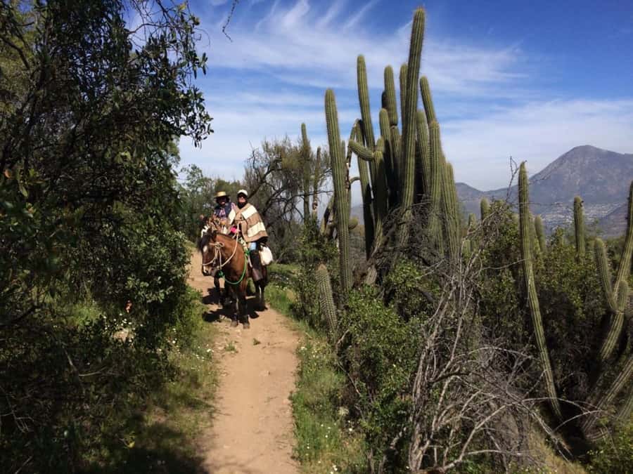 Santiago: Private Andes Foothills Horseback Riding. Half day - From Santiago streets to an Andean farm in 20 minutes
