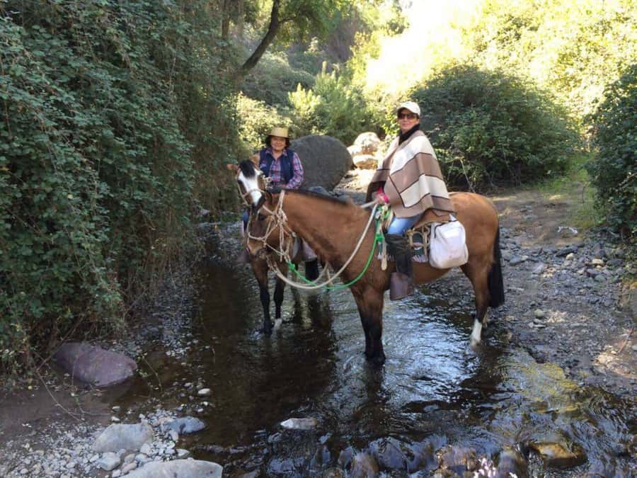 Santiago: Private Andes Foothills Horseback Riding. Half day - Condors, eagles, and the value of looking up