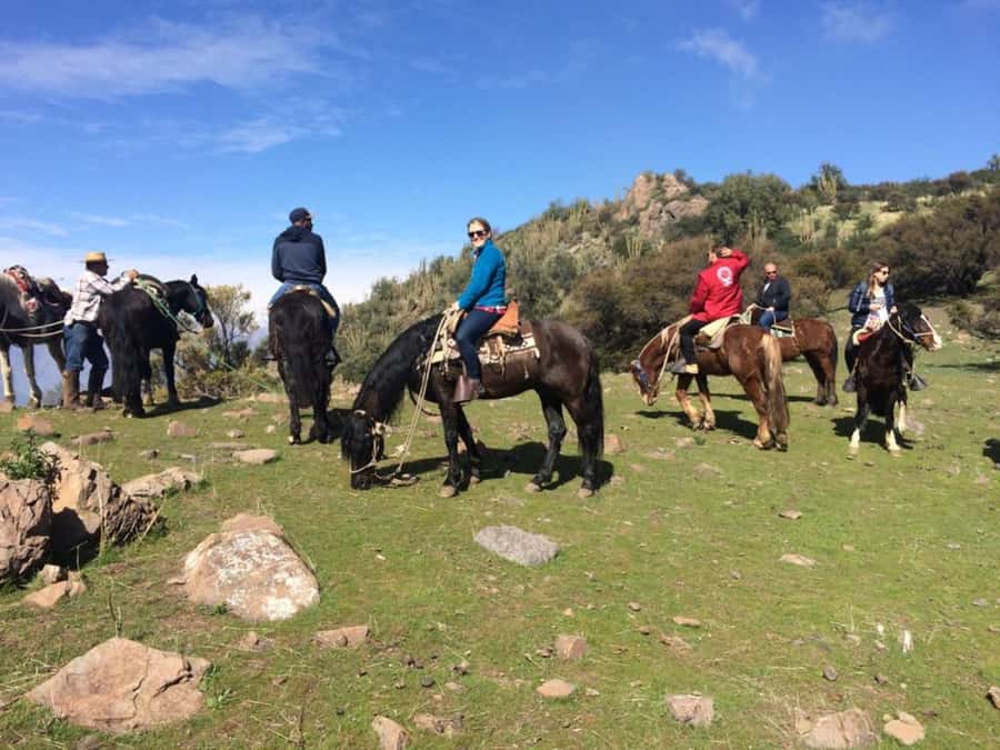 Santiago: Private Andes Foothills Horseback Riding. Half day - Choosing your horse and getting comfortable in the saddle